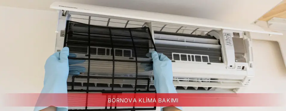 Bornova İlçemi Regal Klima Bakımı