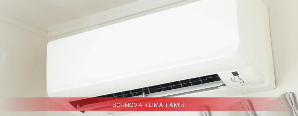 Bornova İlçemi Regal Klima Tamiri