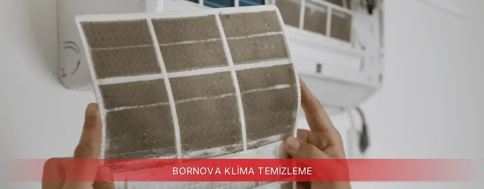 Bornova İlçemi Regal Klima Temizleme